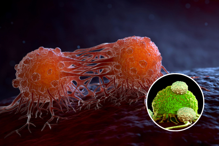 Spreading Cancer Cells Must Change Their Environment to Keep Growing